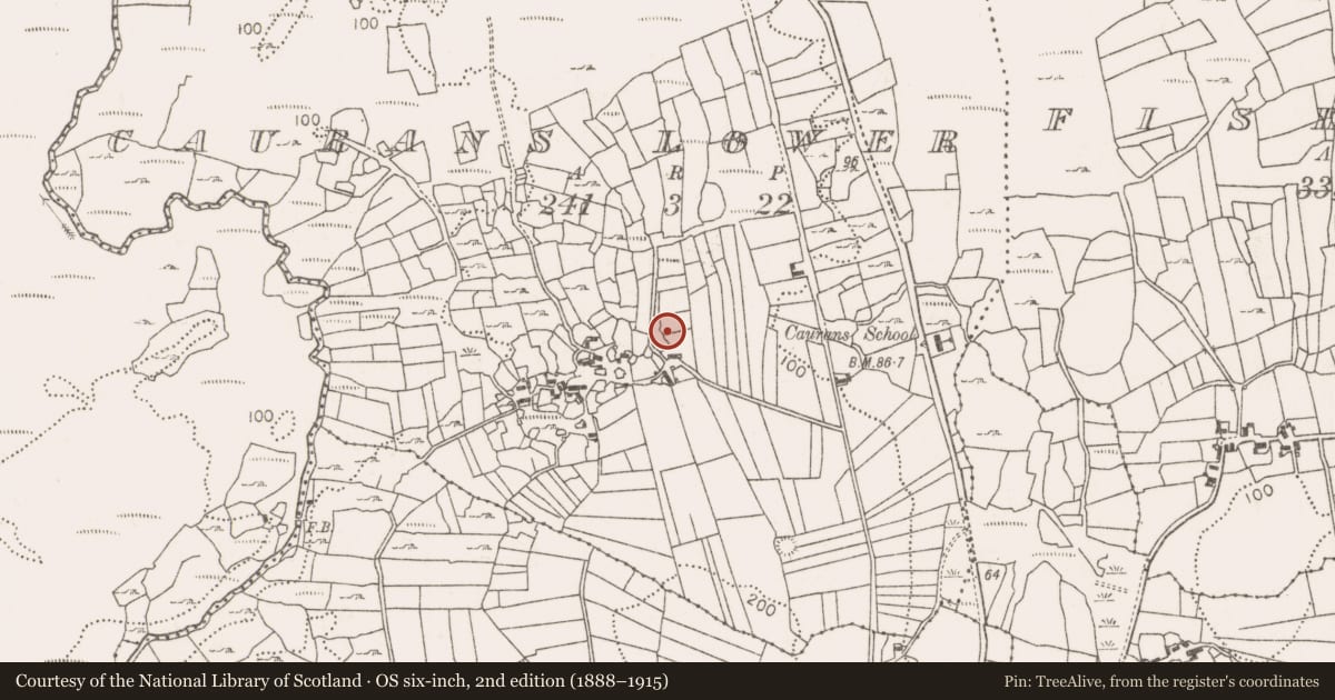 Ordnance Survey six-inch map, 2nd edition (1888–1915) covering the location of Enclosure, Caurans Lower, County Mayo, with a pin at the register's coordinates