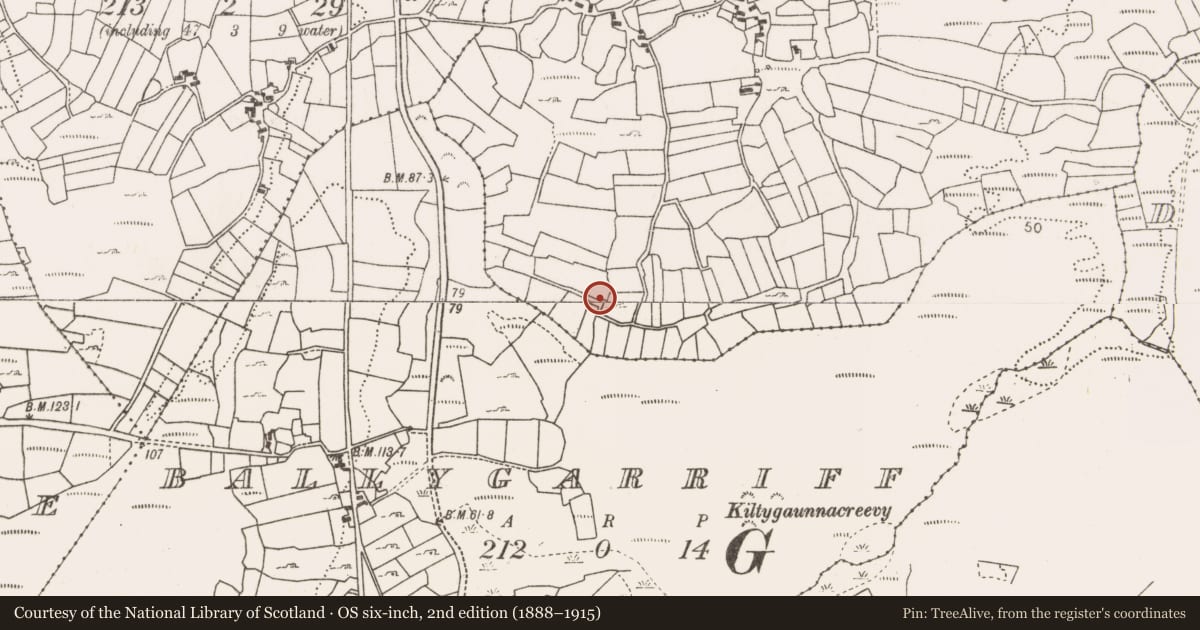 Ordnance Survey six-inch map, 2nd edition (1888–1915) covering the location of Enclosure, Treanybrogaun, County Mayo, with a pin at the register's coordinates