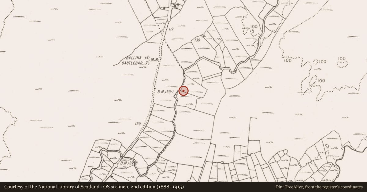 Ordnance Survey six-inch map, 2nd edition (1888–1915) covering the location of Water mill - horizontal-wheeled, Crillaun, County Mayo, with a pin at the register's coordinates
