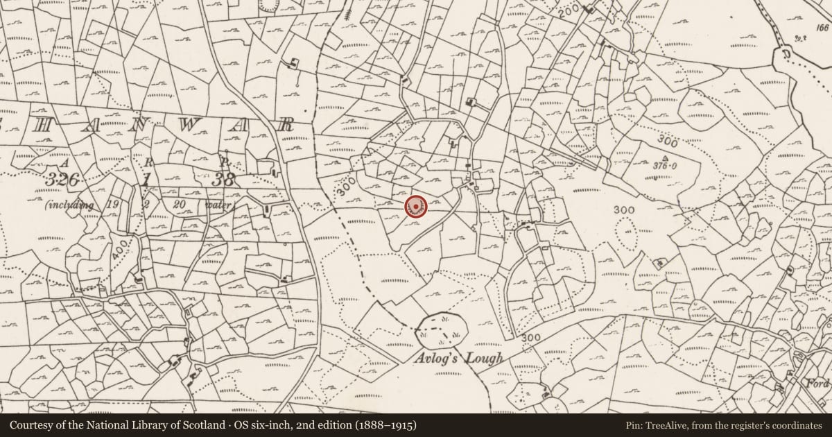 Ordnance Survey six-inch map, 2nd edition (1888–1915) covering the location of Ringfort - cashel, Cuillonaghtan, County Mayo, with a pin at the register's coordinates
