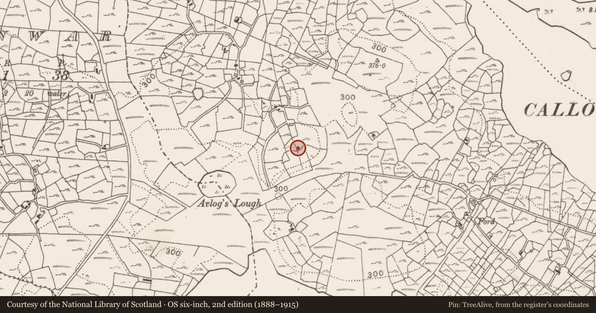 Ordnance Survey six-inch map, 2nd edition (1888–1915) covering the location of Ringfort - cashel, Cuillonaghtan, County Mayo, with a pin at the register's coordinates