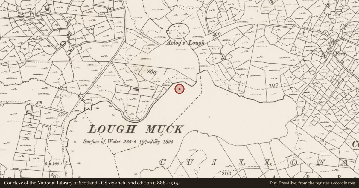 Ordnance Survey six-inch map, 2nd edition (1888–1915) covering the location of Crannog, Shanwar, County Mayo, with a pin at the register's coordinates