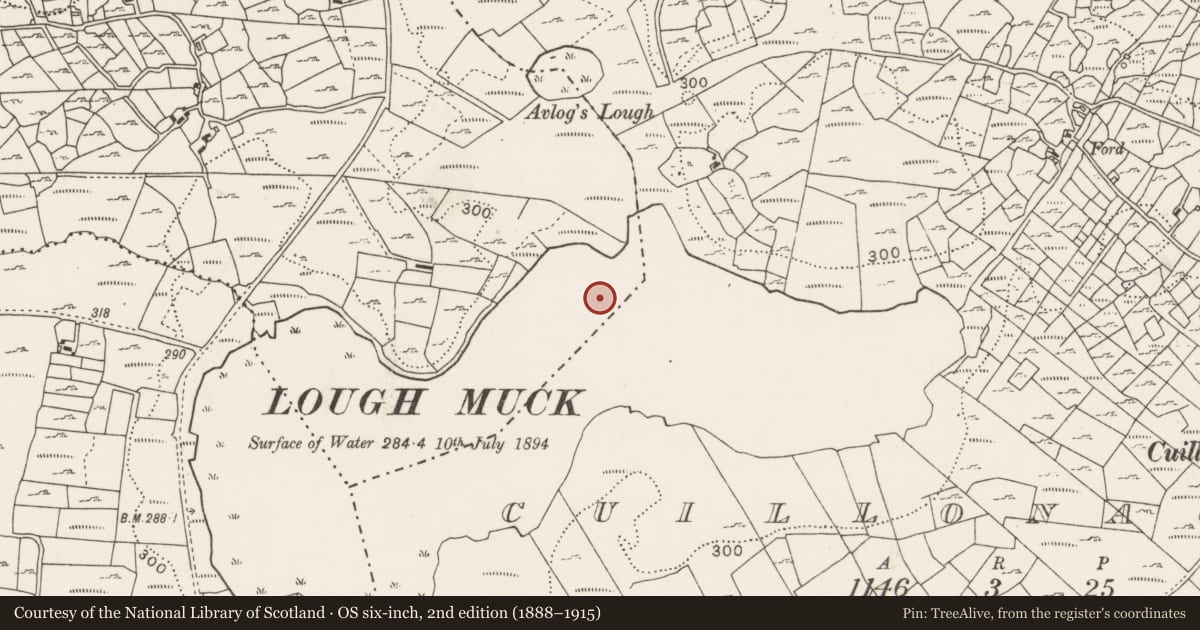 Ordnance Survey six-inch map, 2nd edition (1888–1915) covering the location of Crannog, Shanwar, County Mayo, with a pin at the register's coordinates