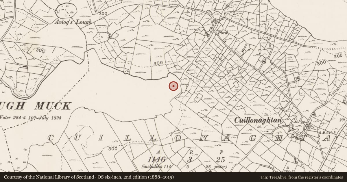 Ordnance Survey six-inch map, 2nd edition (1888–1915) covering the location of Crannog, Cuillonaghtan, County Mayo, with a pin at the register's coordinates