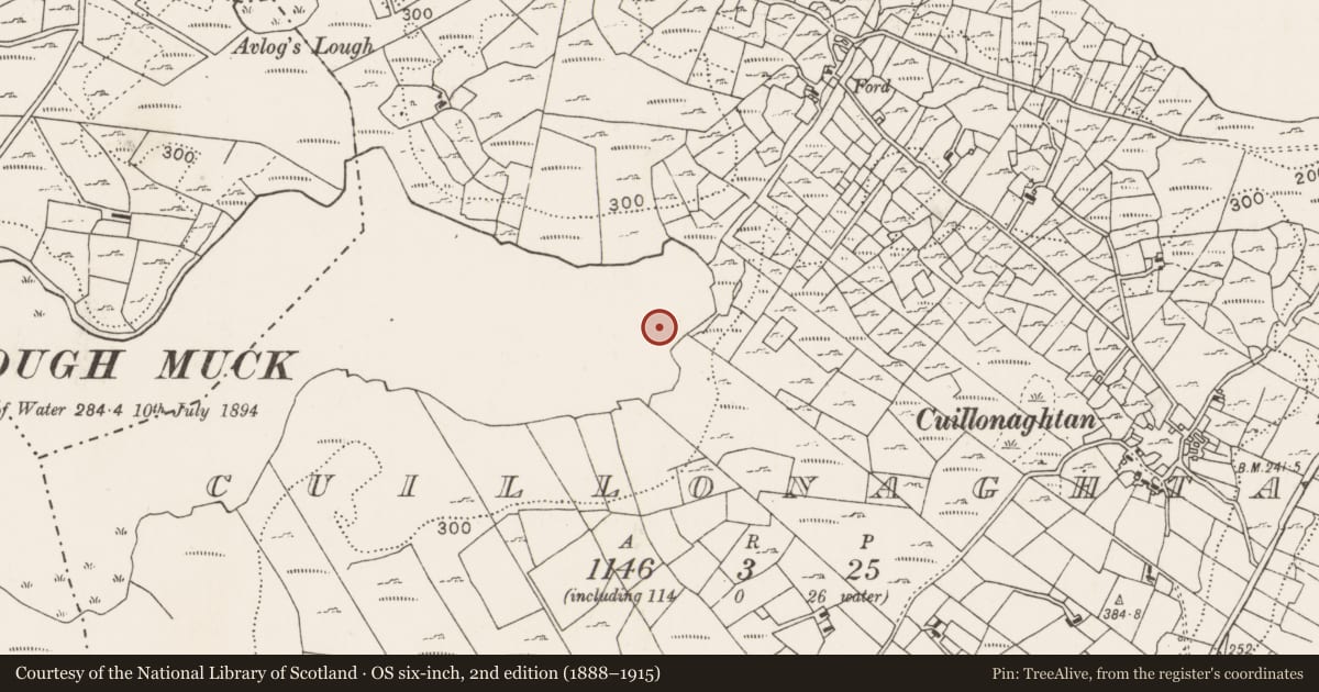 Ordnance Survey six-inch map, 2nd edition (1888–1915) covering the location of Crannog, Cuillonaghtan, County Mayo, with a pin at the register's coordinates