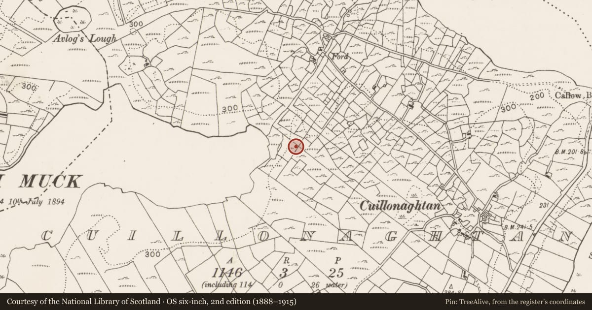 Ordnance Survey six-inch map, 2nd edition (1888–1915) covering the location of Stone row, Cuillonaghtan, County Mayo, with a pin at the register's coordinates
