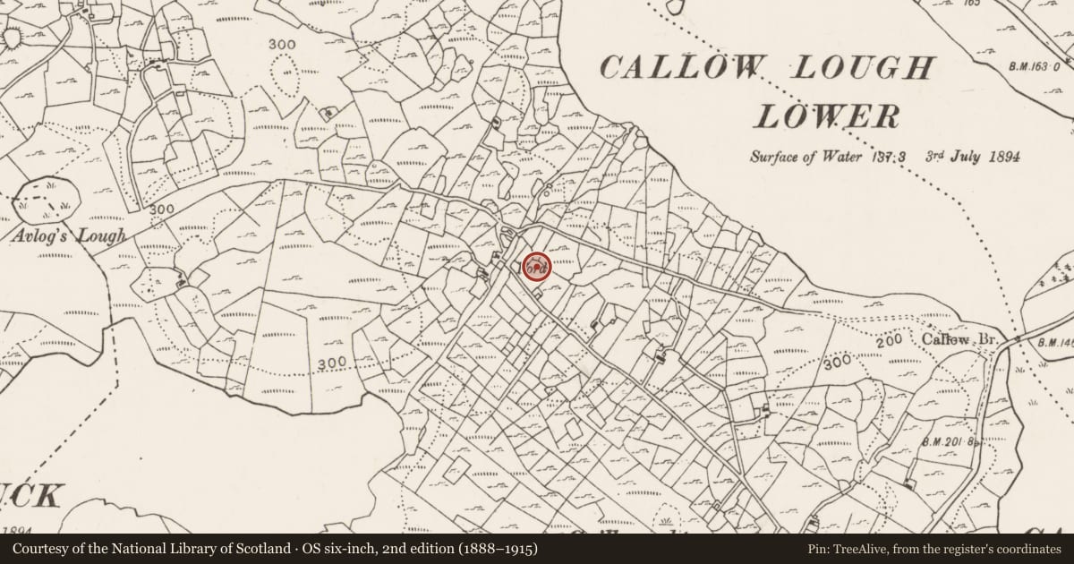 Ordnance Survey six-inch map, 2nd edition (1888–1915) covering the location of Ringfort - cashel, Cuillonaghtan, County Mayo, with a pin at the register's coordinates