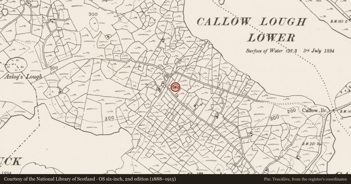 Ordnance Survey six-inch map, 2nd edition (1888–1915) covering the location of Souterrain, Cuillonaghtan, County Mayo, with a pin at the register's coordinates
