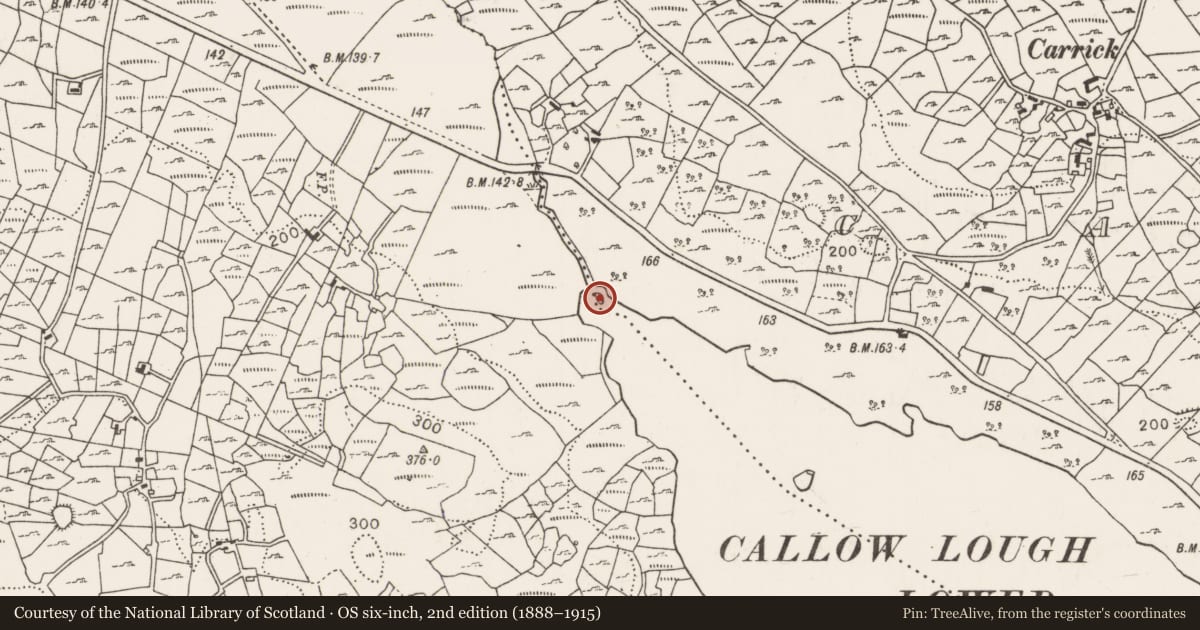 Ordnance Survey six-inch map, 2nd edition (1888–1915) covering the location of Crannog, Callow, Cuillonaghtan, County Mayo, with a pin at the register's coordinates