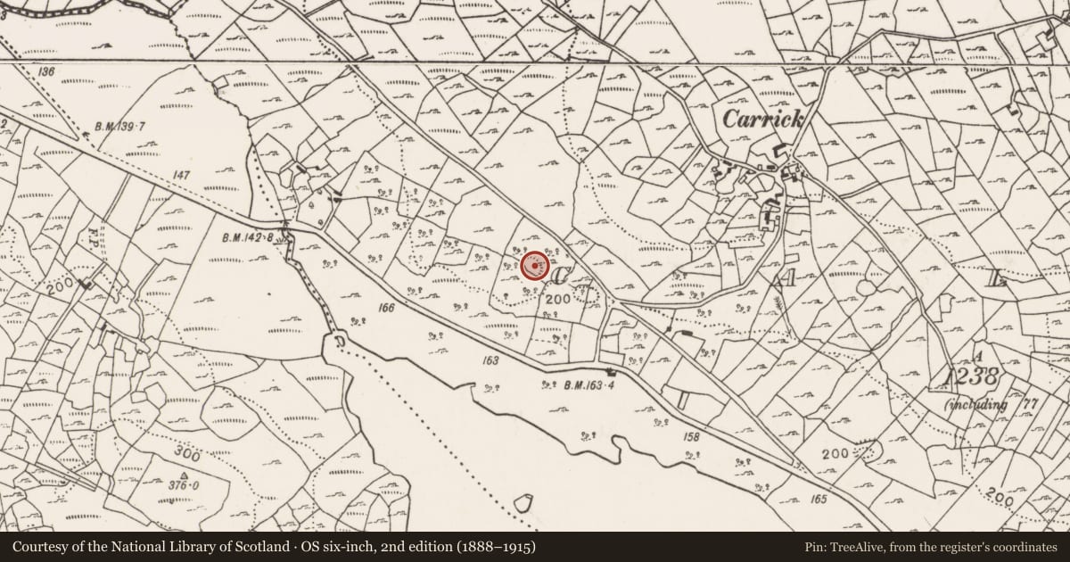 Ordnance Survey six-inch map, 2nd edition (1888–1915) covering the location of Ringfort - cashel, Callow, County Mayo, with a pin at the register's coordinates