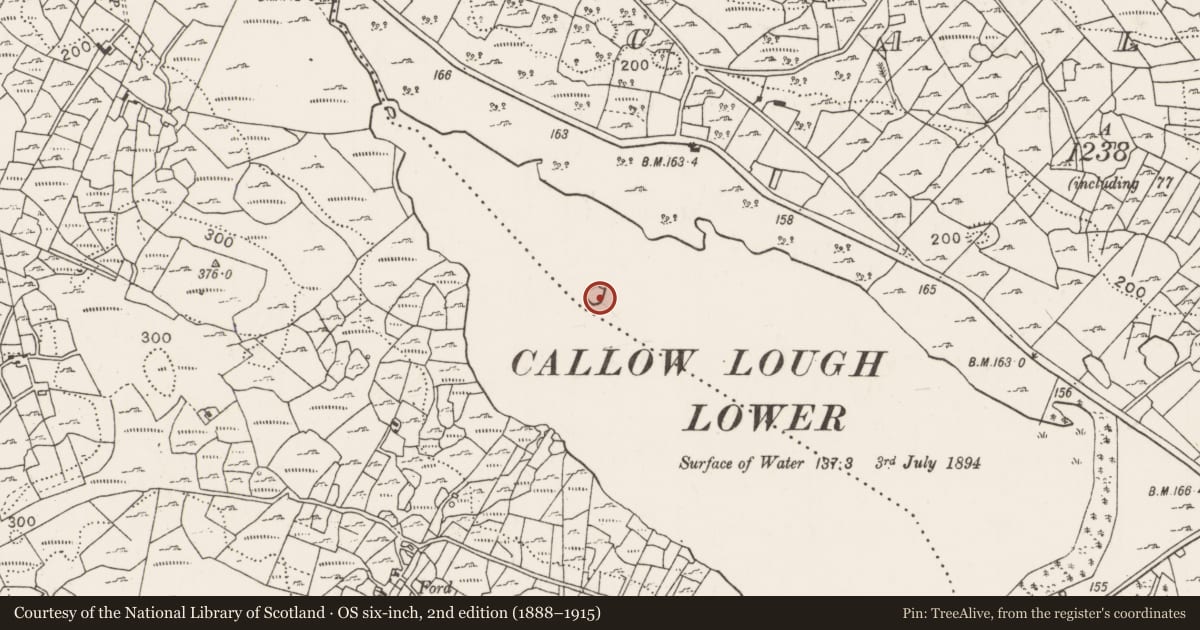 Ordnance Survey six-inch map, 2nd edition (1888–1915) covering the location of Causeway, Callow, County Mayo, with a pin at the register's coordinates