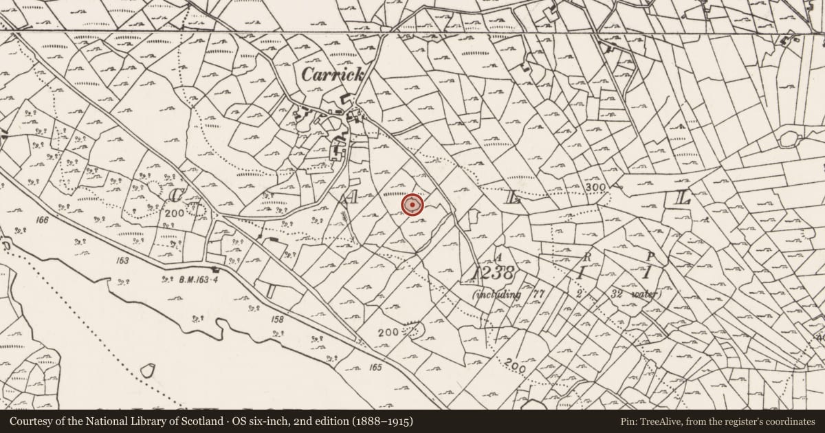 Ordnance Survey six-inch map, 2nd edition (1888–1915) covering the location of Ringfort - unclassified, Callow, County Mayo, with a pin at the register's coordinates