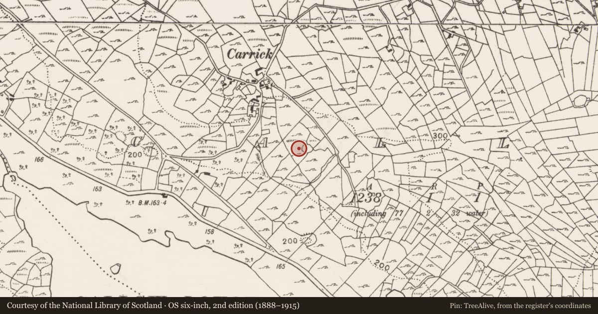 Ordnance Survey six-inch map, 2nd edition (1888–1915) covering the location of Enclosure, Callow, County Mayo, with a pin at the register's coordinates