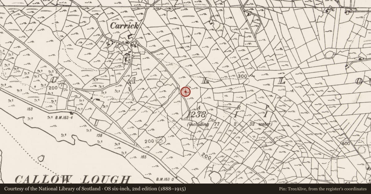 Ordnance Survey six-inch map, 2nd edition (1888–1915) covering the location of Ringfort - unclassified, Callow, County Mayo, with a pin at the register's coordinates