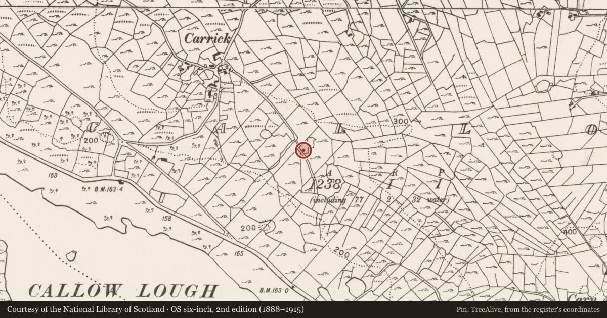 Ordnance Survey six-inch map, 2nd edition (1888–1915) covering the location of Children's burial ground, Callow, County Mayo, with a pin at the register's coordinates
