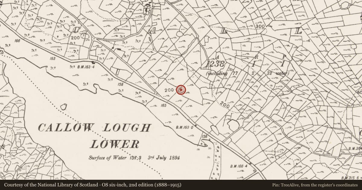 Ordnance Survey six-inch map, 2nd edition (1888–1915) covering the location of Ringfort - rath, Callow, County Mayo, with a pin at the register's coordinates