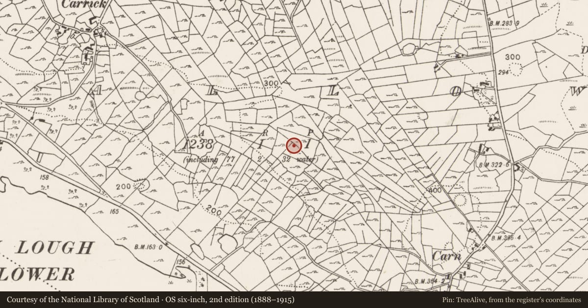 Ordnance Survey six-inch map, 2nd edition (1888–1915) covering the location of Enclosure, Callow, County Mayo, with a pin at the register's coordinates