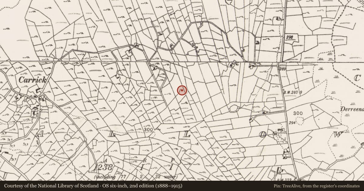 Ordnance Survey six-inch map, 2nd edition (1888–1915) covering the location of House - indeterminate date, Callow, County Mayo, with a pin at the register's coordinates