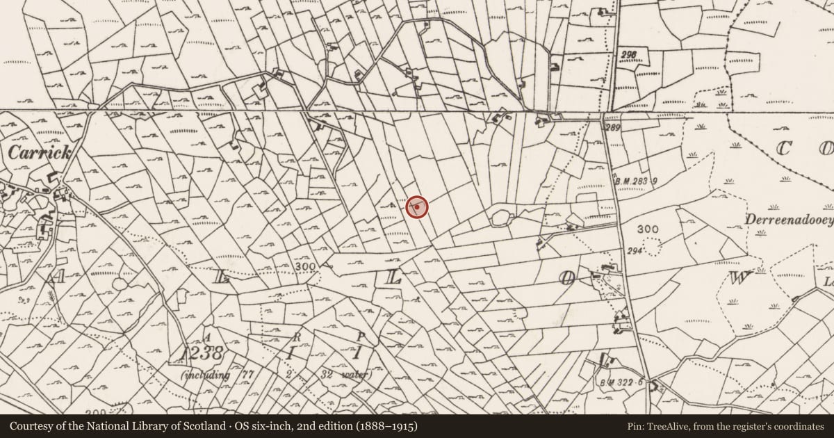 Ordnance Survey six-inch map, 2nd edition (1888–1915) covering the location of House - indeterminate date, Callow, County Mayo, with a pin at the register's coordinates