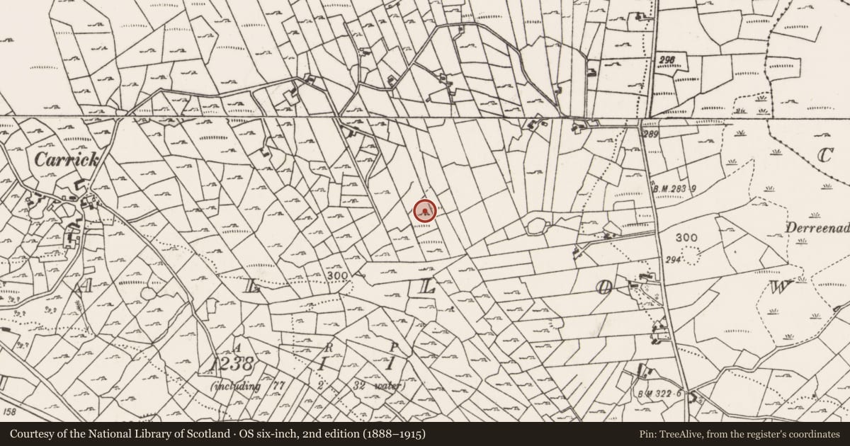 Ordnance Survey six-inch map, 2nd edition (1888–1915) covering the location of House - indeterminate date, Callow, County Mayo, with a pin at the register's coordinates