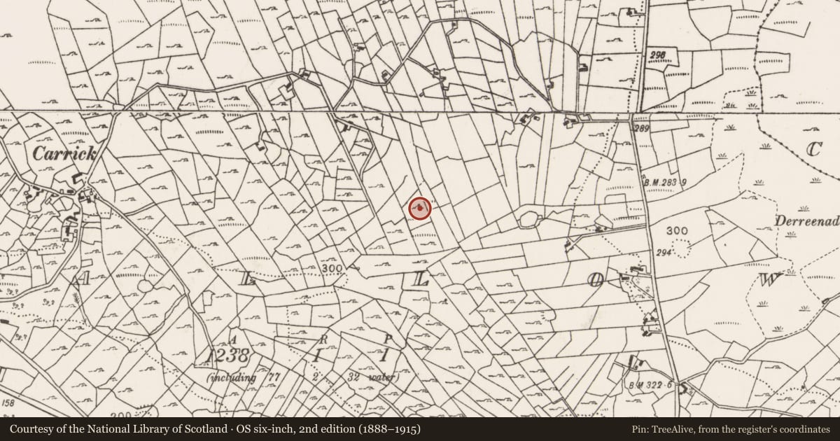 Ordnance Survey six-inch map, 2nd edition (1888–1915) covering the location of Bullaun stone, Callow, County Mayo, with a pin at the register's coordinates