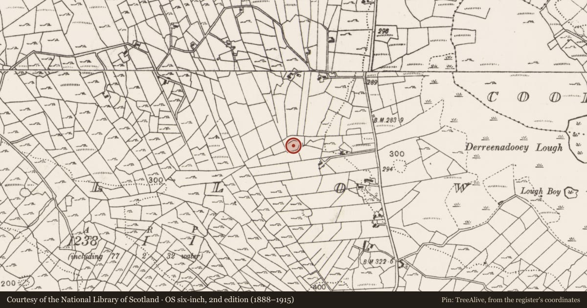 Ordnance Survey six-inch map, 2nd edition (1888–1915) covering the location of Ringfort - cashel, Callow, County Mayo, with a pin at the register's coordinates