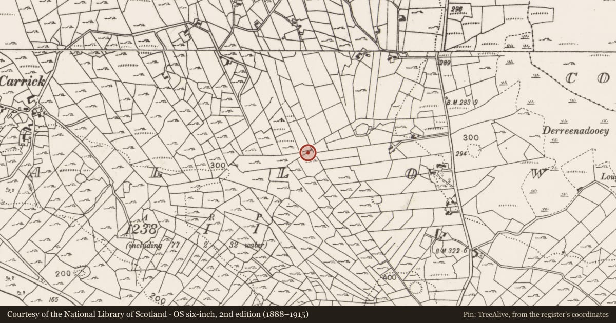Ordnance Survey six-inch map, 2nd edition (1888–1915) covering the location of Megalithic tomb - wedge tomb, Callow, County Mayo, with a pin at the register's coordinates
