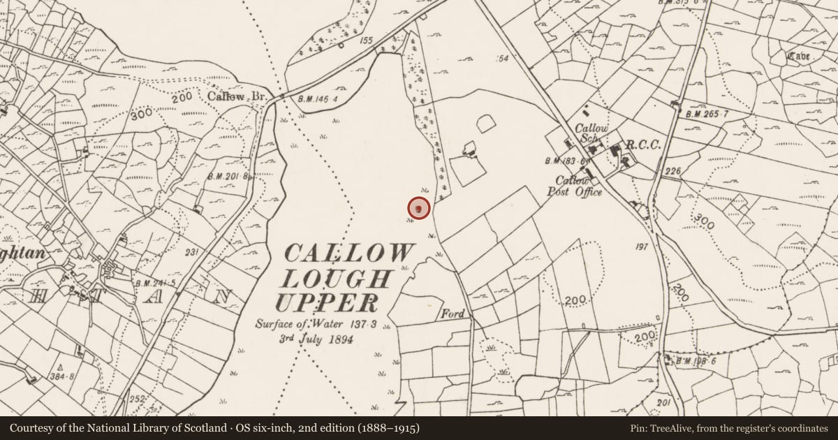 Ordnance Survey six-inch map, 2nd edition (1888–1915) covering the location of Crannog, Callow, County Mayo, with a pin at the register's coordinates