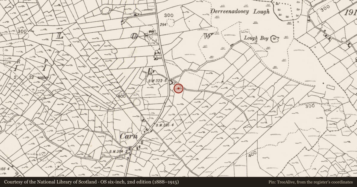 Ordnance Survey six-inch map, 2nd edition (1888–1915) covering the location of Fulacht fia, Callow, County Mayo, with a pin at the register's coordinates