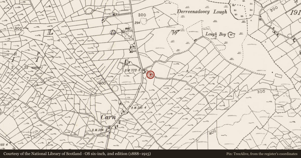 Ordnance Survey six-inch map, 2nd edition (1888–1915) covering the location of Fulacht fia, Callow, County Mayo, with a pin at the register's coordinates