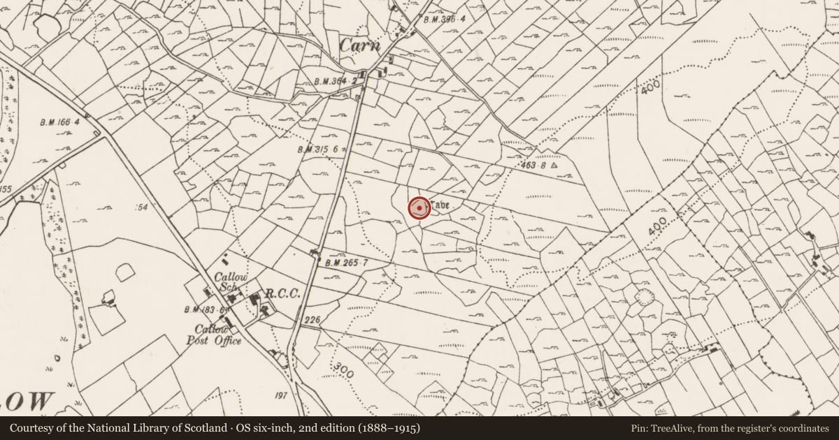 Ordnance Survey six-inch map, 2nd edition (1888–1915) covering the location of Ringfort - cashel, Callow, County Mayo, with a pin at the register's coordinates
