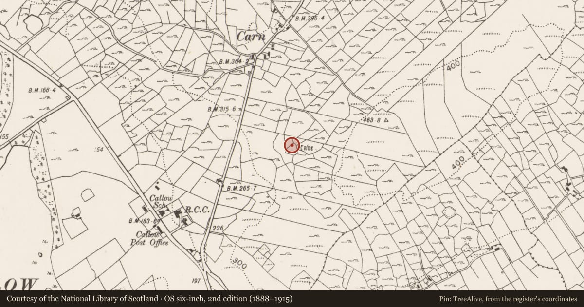 Ordnance Survey six-inch map, 2nd edition (1888–1915) covering the location of Souterrain, Callow, County Mayo, with a pin at the register's coordinates
