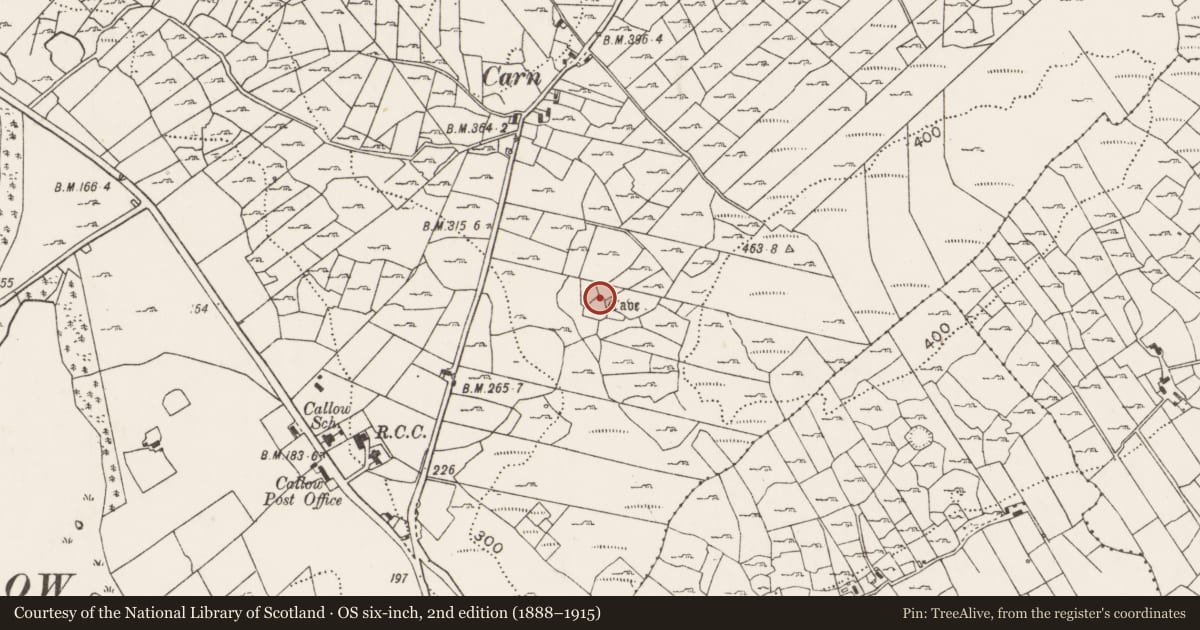 Ordnance Survey six-inch map, 2nd edition (1888–1915) covering the location of House - indeterminate date, Callow, County Mayo, with a pin at the register's coordinates