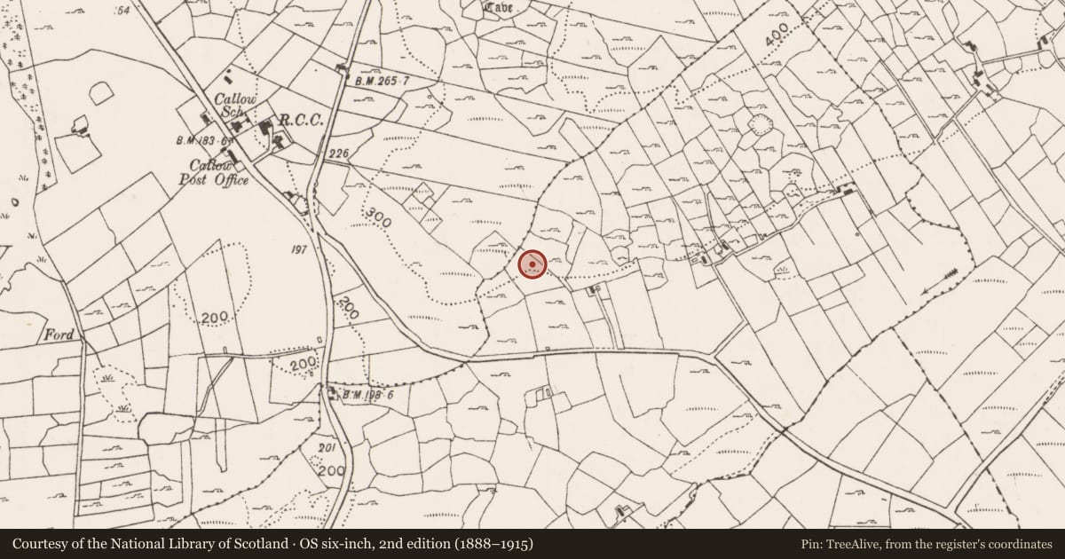 Ordnance Survey six-inch map, 2nd edition (1888–1915) covering the location of House - indeterminate date, Lismoran, County Mayo, with a pin at the register's coordinates