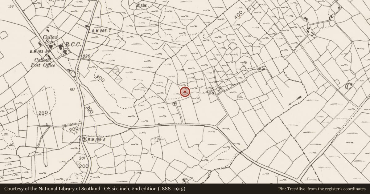 Ordnance Survey six-inch map, 2nd edition (1888–1915) covering the location of Ringfort - cashel, Lismoran, County Mayo, with a pin at the register's coordinates
