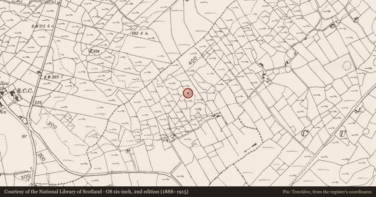 Ordnance Survey six-inch map, 2nd edition (1888–1915) covering the location of Ringfort - cashel, Lismoran, County Mayo, with a pin at the register's coordinates