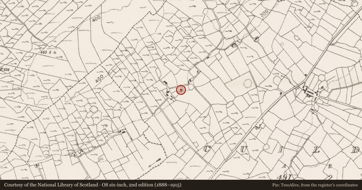 Ordnance Survey six-inch map, 2nd edition (1888–1915) covering the location of Ringfort - cashel, Cuildoo, County Mayo, with a pin at the register's coordinates