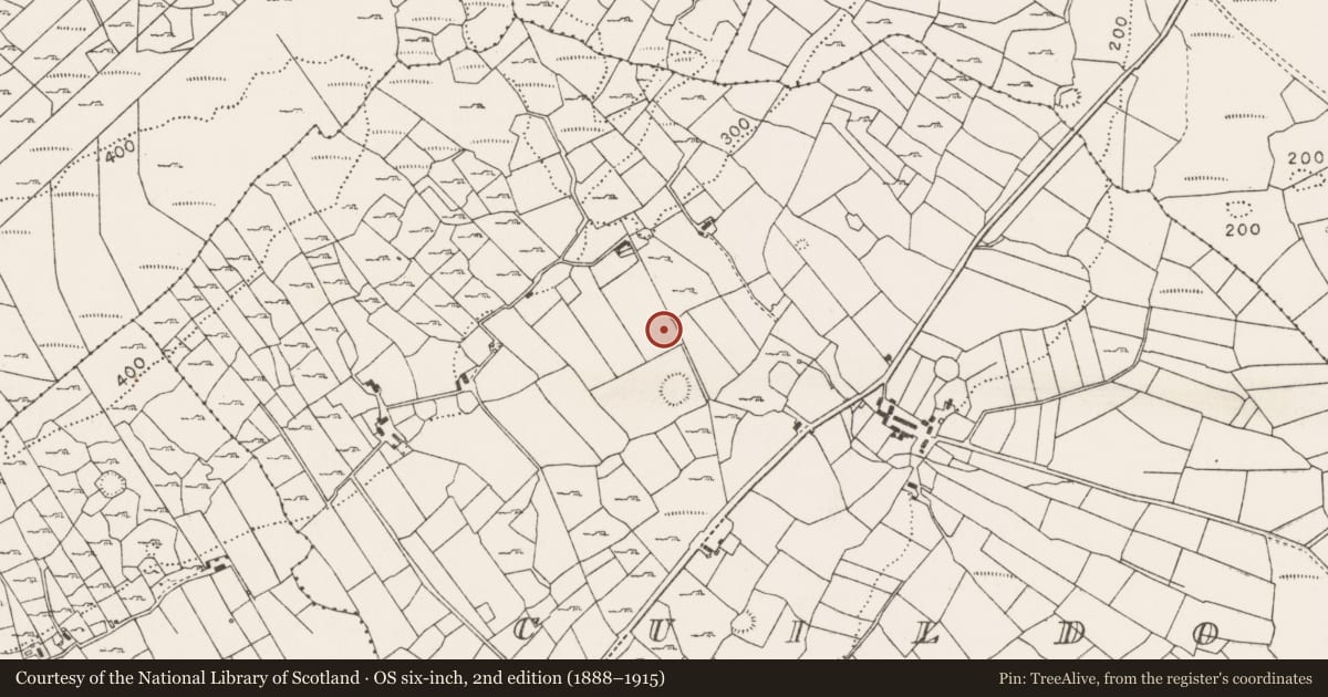 Ordnance Survey six-inch map, 2nd edition (1888–1915) covering the location of Ringfort - rath, Cuildoo, County Mayo, with a pin at the register's coordinates