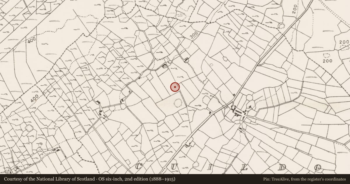 Ordnance Survey six-inch map, 2nd edition (1888–1915) covering the location of House - indeterminate date, Cuildoo, County Mayo, with a pin at the register's coordinates