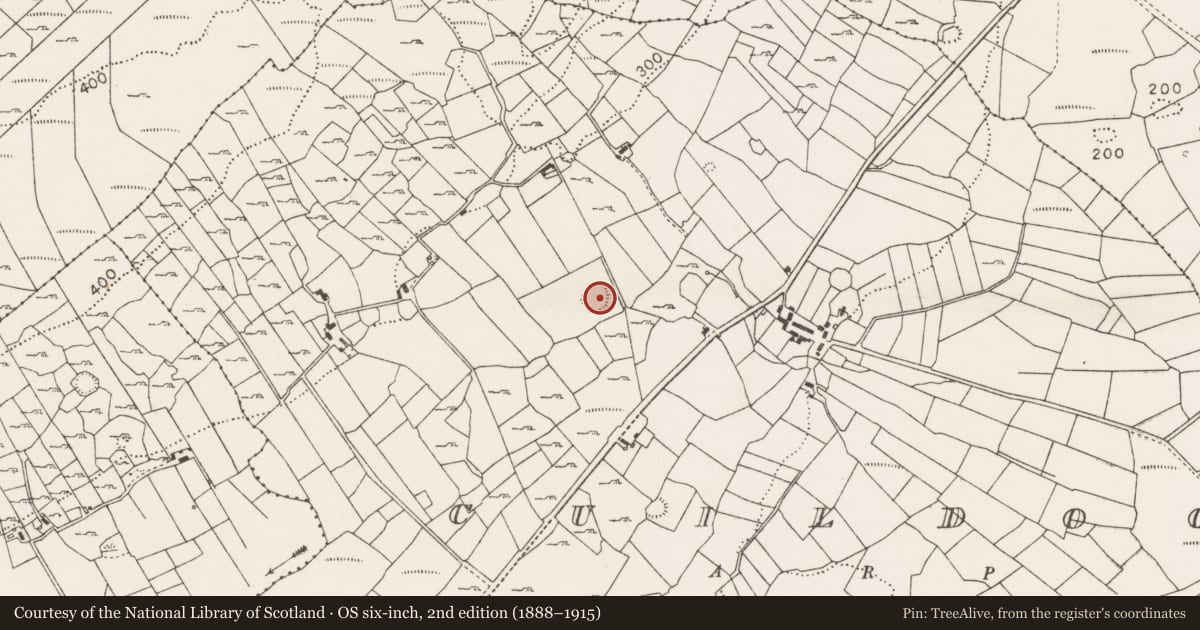 Ordnance Survey six-inch map, 2nd edition (1888–1915) covering the location of House - indeterminate date, Cuildoo, County Mayo, with a pin at the register's coordinates