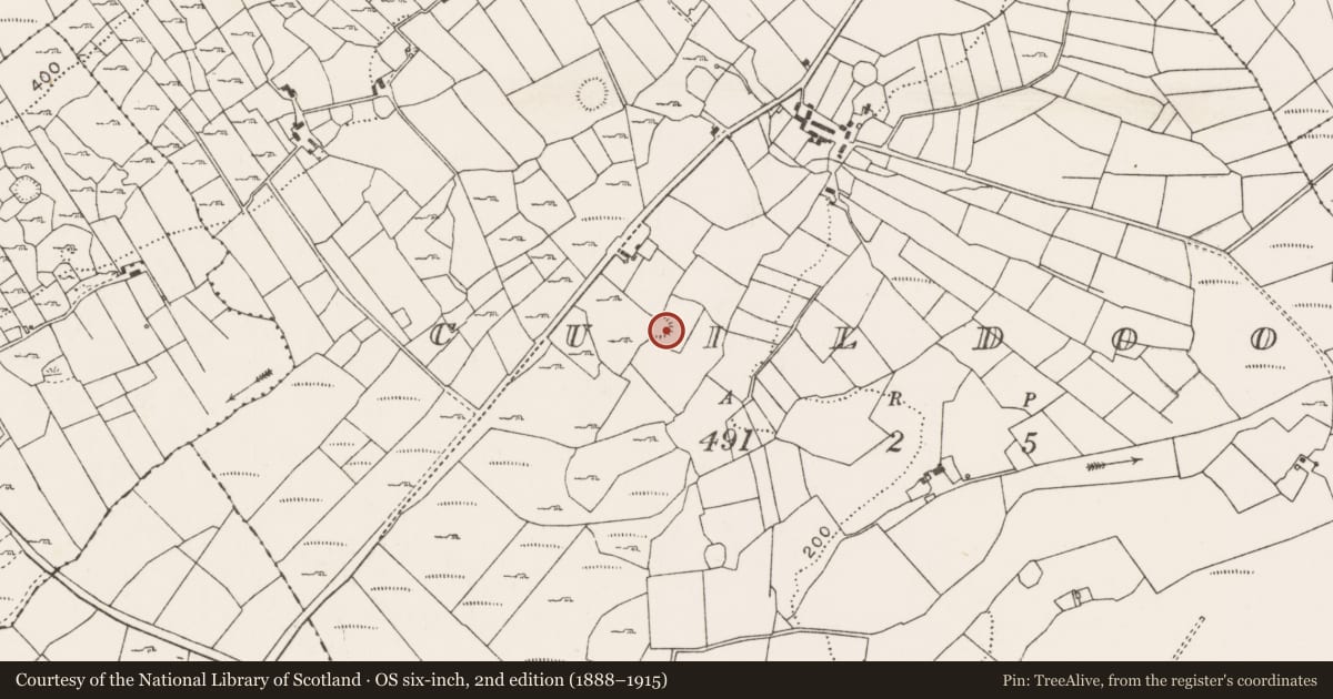 Ordnance Survey six-inch map, 2nd edition (1888–1915) covering the location of House - indeterminate date, Cuildoo, County Mayo, with a pin at the register's coordinates