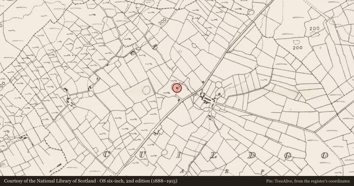 Ordnance Survey six-inch map, 2nd edition (1888–1915) covering the location of Enclosure, Cuildoo, County Mayo, with a pin at the register's coordinates