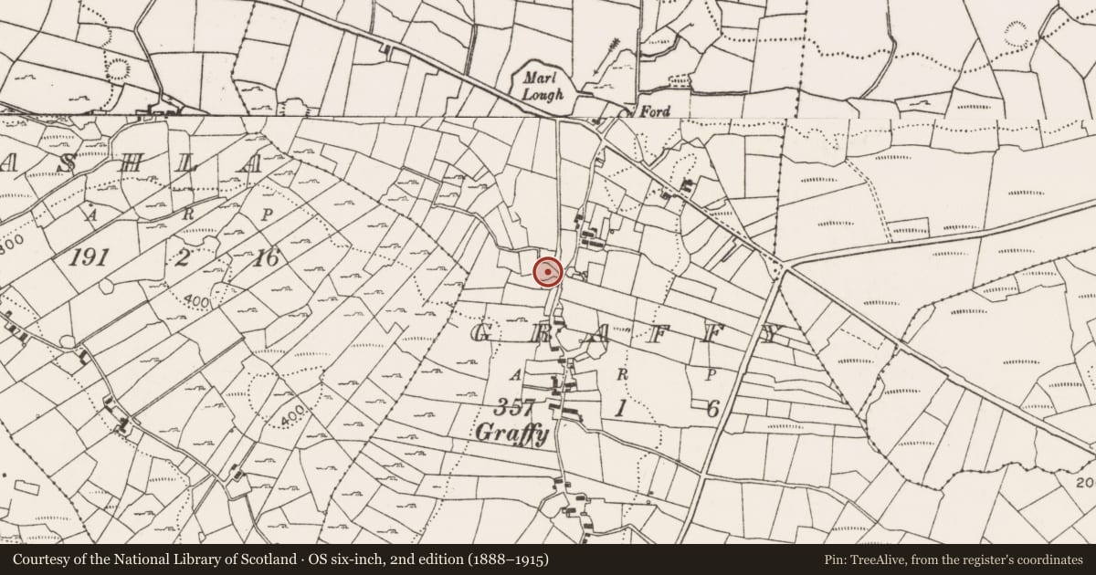 Ordnance Survey six-inch map, 2nd edition (1888–1915) covering the location of Ringfort - cashel, Graffy (Gallen By., Killasser Par.), County Mayo, with a pin at the register's coordinates