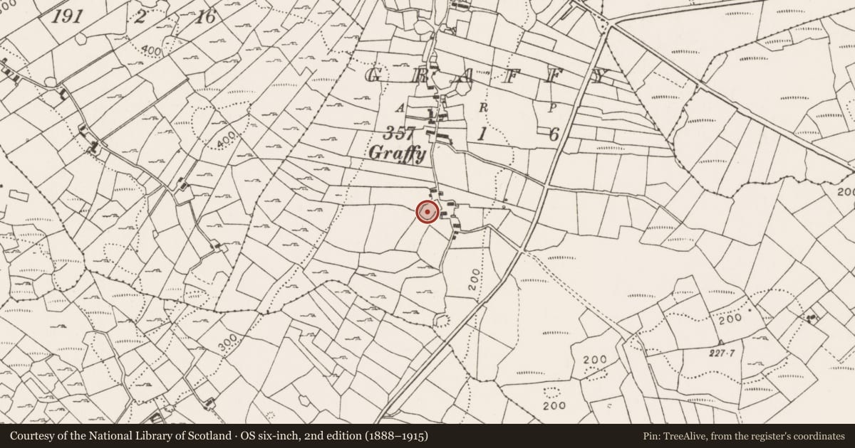 Ordnance Survey six-inch map, 2nd edition (1888–1915) covering the location of Ringfort - cashel, Graffy (Gallen By., Killasser Par.), County Mayo, with a pin at the register's coordinates