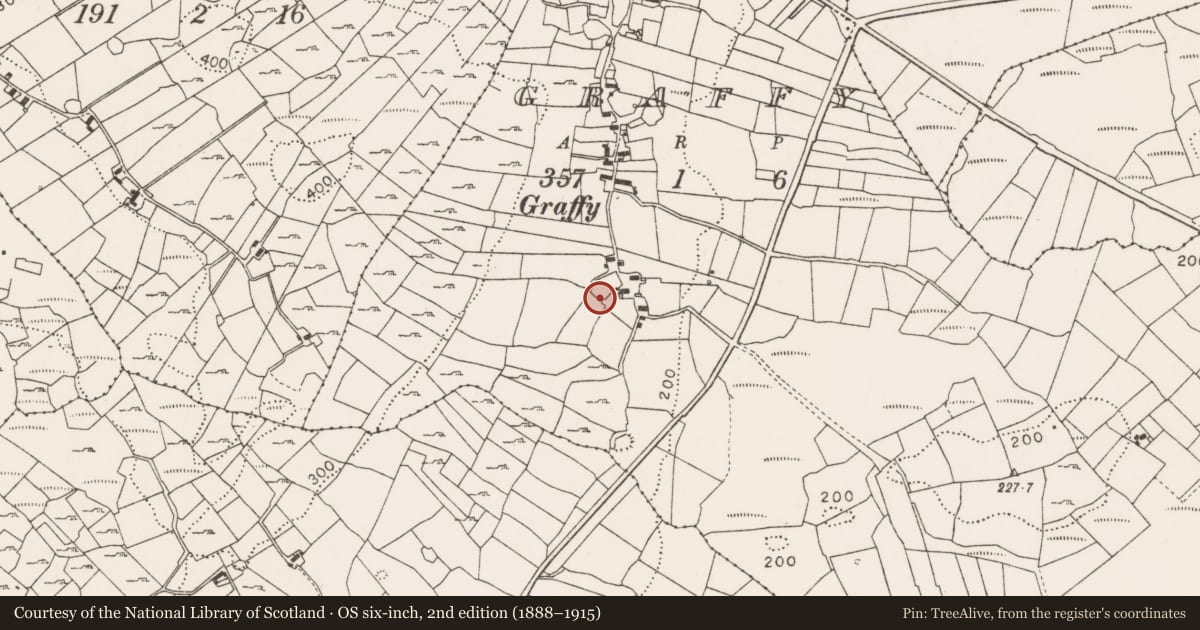 Ordnance Survey six-inch map, 2nd edition (1888–1915) covering the location of Souterrain, Graffy (Gallen By., Killasser Par.), County Mayo, with a pin at the register's coordinates