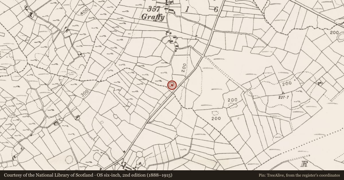 Ordnance Survey six-inch map, 2nd edition (1888–1915) covering the location of Ringfort - cashel, Graffy (Gallen By., Killasser Par.), County Mayo, with a pin at the register's coordinates