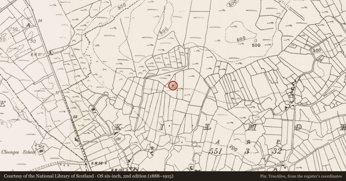 Ordnance Survey six-inch map, 2nd edition (1888–1915) covering the location of Megalithic tomb - wedge tomb, Kilmore, County Mayo, with a pin at the register's coordinates