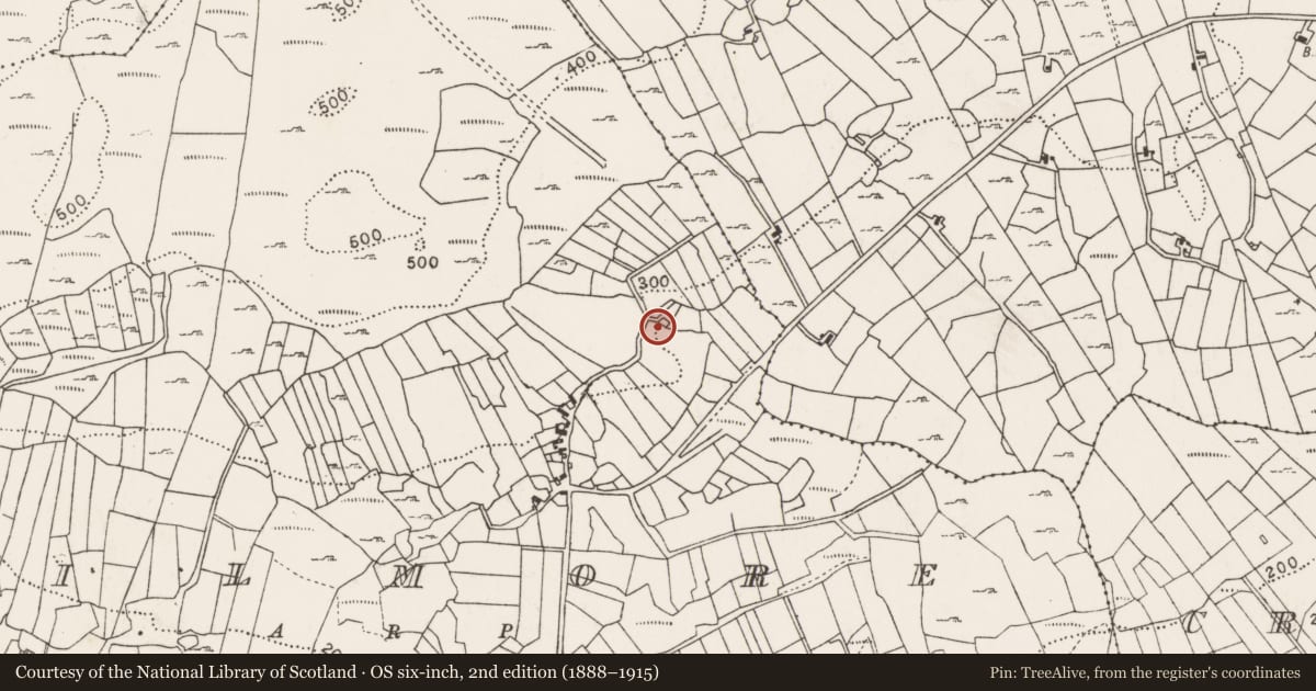 Ordnance Survey six-inch map, 2nd edition (1888–1915) covering the location of Souterrain, Kilmore, County Mayo, with a pin at the register's coordinates