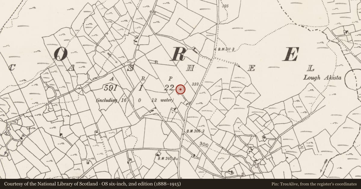 Ordnance Survey six-inch map, 2nd edition (1888–1915) covering the location of Ringfort - cashel, County Mayo, with a pin at the register's coordinates