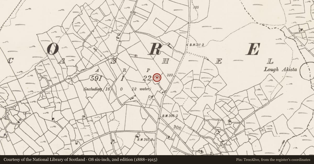 Ordnance Survey six-inch map, 2nd edition (1888–1915) covering the location of Souterrain, Cashel, County Mayo, with a pin at the register's coordinates